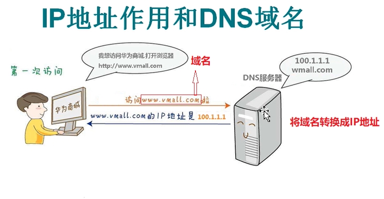 IP反查域名：方法與重要內容解析