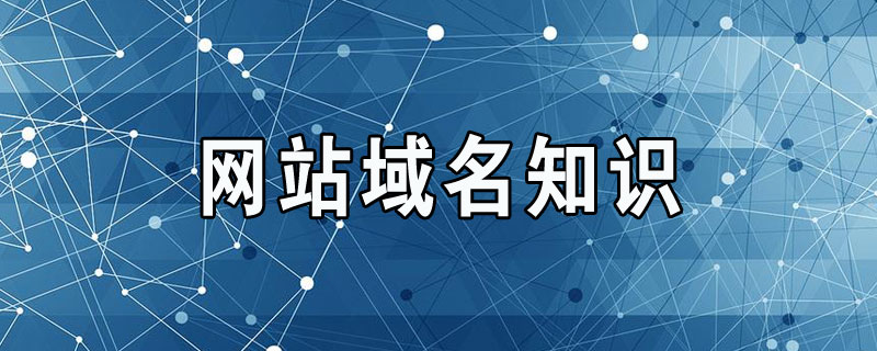 解析域名網站：判斷域名質量的方法